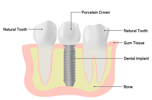 Experienced Dentists